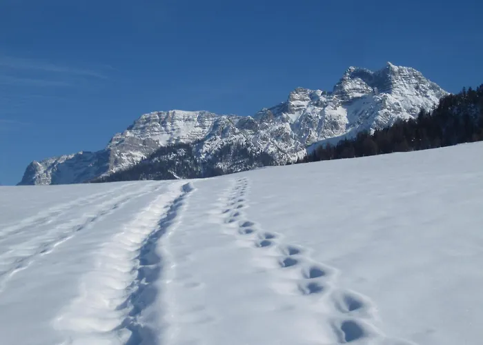 & -wohnung Flatscher 別荘