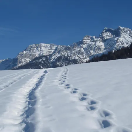 & -wohnung Flatscher 펜션