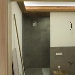 & -wohnung Flatscher בית נופש וואידרינג
