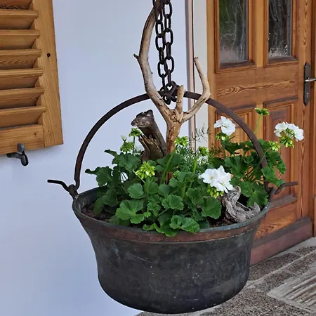 Vakantiehuis & -wohnung Flatscher